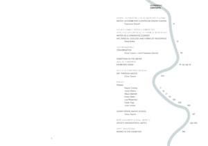 SOMETHING IN THE WATER - Image 2